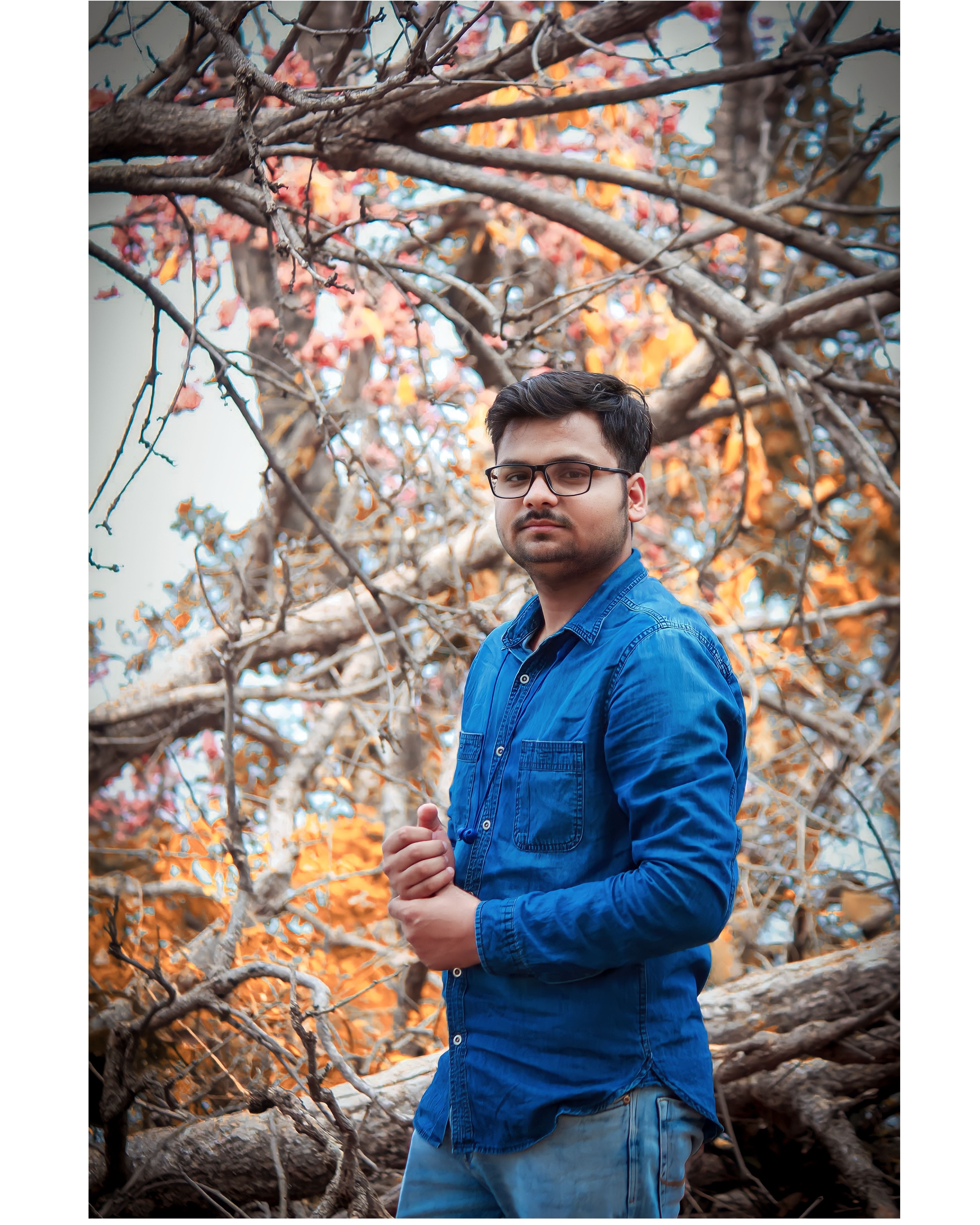 aluminiphoto